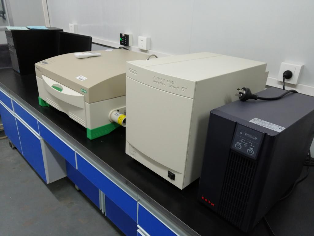 pa视讯官方集团