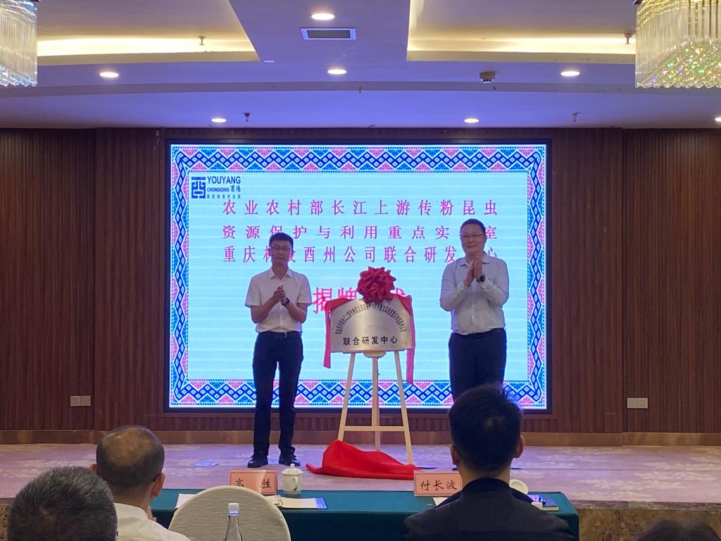 pa视讯官方集团