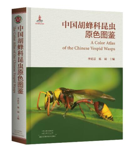 pa视讯官方集团