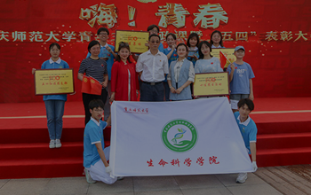 pa视讯官方集团