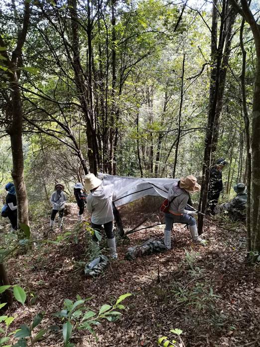 说明:Cache_47350c6b4586e316.