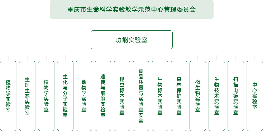 pa视讯官方集团